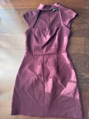 Zara Wine-Colored Cap-Sleeve Sheath Dress